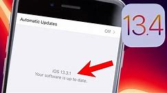 How To Fix iPhone Says Your Software is Up To Date iOS 14.3 Update Problem