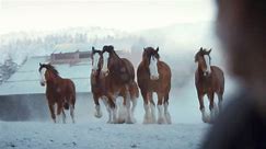 Budweiser "Old School Delivery" Super Bowl 2024 Commercial