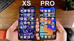 iPhone XS Max vs. iPhone 11 Pro Max!!