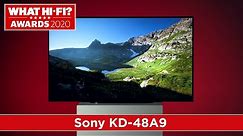 Best TV 2020: Sony KD 48A9 4K OLED TV