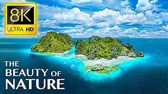 THE BEAUTY OF NATURE 8K ULTRA HD - Tour Around The World with Natural Places and Real Sounds