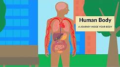Human body for kids | How does our body work? | A journey inside the human body