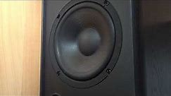 try to blow up my JBL 2800