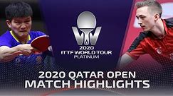 Fan Zhendong vs Liam Pitchford | 2020 ITTF Qatar Open Highlights (Final)