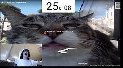 Google Earth Cat Speedrun (WR)