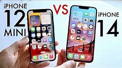 iPhone 14 Vs iPhone 12 Mini! (Comparison) (Review)