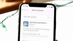 How To Delete iOS Updates On ANY iPhone! (2022)