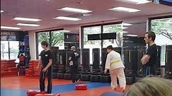 more karate moves pt3