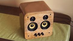 Making a DIY speaker out of wood and old PC speakers