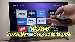 How to Turn OFF & ON Audio Guide on Roku TV