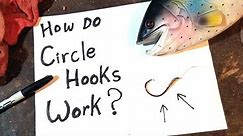 CIRCLE HOOK BASICS: How they work, how to use, how to get them out.