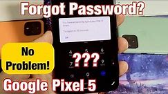 Forgot Password Can't Factory Reset on Google Pixel 5?