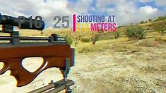 P10 long range testing cal.25 ( 213 meters ) best video
