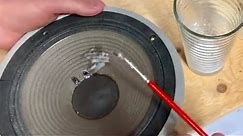 Repairing a Speaker Cone