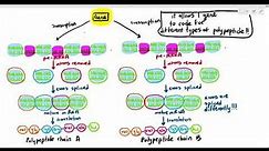 6-11 Post Transcription mRNA modification (Cambridge AS & A Level Biology, 9700)