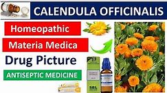 Calendula Officinalis homoeopathic medicine | Drug Picture | Materia Medica #homoeopathy #bhms #muhs