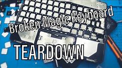Apple iPad Magic Keyboard Teardown