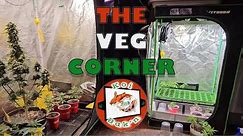 The Veg Corner | Season 4 Ep 10