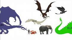 Dragons--Zooming Size Comparison