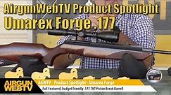 Umarex Forge .177 - A traditionally styled, budget friendly, Full Featured Airgun! - by AirgunWebTV