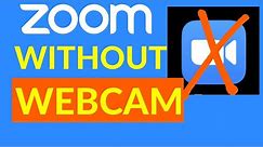 ZOOM Without a WEBCAM?