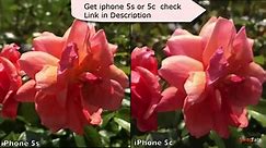 Iphone 5s and 5c Comparison and Giveaway