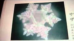 Zamzam Water. A Research work by Dr. Masaru Emoto.flv