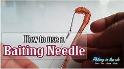 how to use a baiting needle - sea fishing
