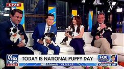 ‘Fox & Friends Weekend’ celebrates National Puppy Day