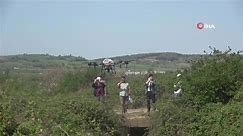 Bafra Ovası'nda dron destekli sivrisinek mücadelesi