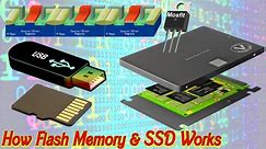 How SSD SD Card and USB Flash drive works | Working principle of NOR or NAND Flash Memory