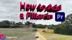 How to Add a Filter in Adobe Premiere Pro (VHS Look)