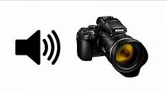 Camera Zoom - Sound Effect | ProSounds