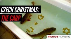 The Christmas Carp Tradition in the Czech Republic