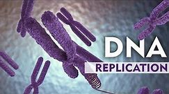 DNA Replication Explain with 3D Animation