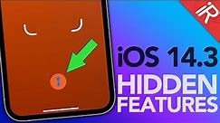 iOS 14.3 New HIDDEN Features !