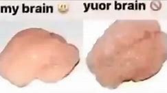 My brain vs your brain (meme)