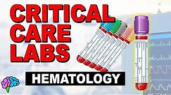 Hematology - Complete Blood Count (CBC) - Critical Care Labs