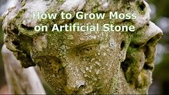 💚 How to 𝐆𝐫𝐨𝐰 𝐌𝐨𝐬𝐬 on Stone. Secret Pro Formula 🙂
