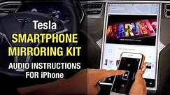 Tesla Smartphone Mirroring Kit [Audio Instructions for iPhone User] Youtube Netflix
