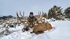 Colorado Giant Mule Deer!
