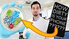 How Much Bacteria Is On Your Phone | LAB EXPERIMENT REVEALED | How To Disinfect Phone | 2018