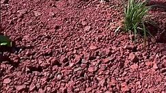 Landscaping Red lava Rocks!!!