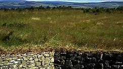 Culloden - the ghosts of Culloden by Isla Grant