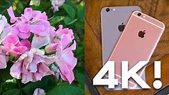 iPhone 6s 🔥🔥🔥 4K Video Test!