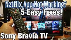 Netflix Not Working on Sony Bravia TV? 5 Easy Fixes