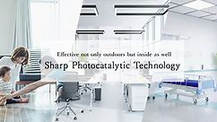 Visible Light-Responsive Photocatalysts | Sharp Global