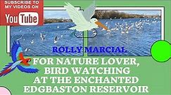 For Nature Lover, Bird Watching at The Enchanted Edgbaston Reservoir