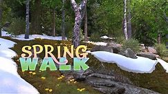 Spring Walk 3D Live Wallpaper and Screensaver