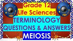 GRADE 12 LIFE SCIENCES TERMINOLOGY QUESTIONS & ANSWERS ON MEIOSIS